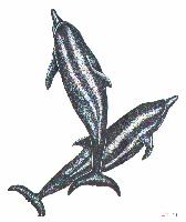 Dolphins (6Kb)