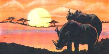 Rhino Sunset detail