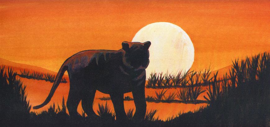 Tiger Sunset (51KB)